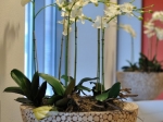 Artificial Orchids