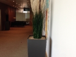 Large Grasses in Square Anthracite