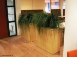 Grass-plant-boxes