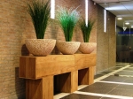 Preserved Grasses Fountain Style Table Top