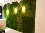 moss-wall