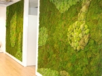 mosswall