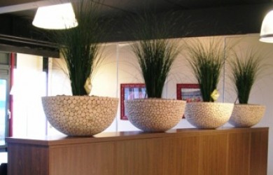 Preserved Grasses in bowl planters