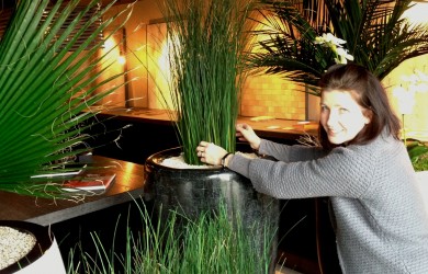 Norma fine-tunes Mummie Plants grasses display for Facilities Management Ireland tradeshow.