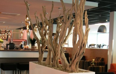 ghostwood sculpture in white planter