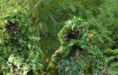 Two men in leaf camouflage