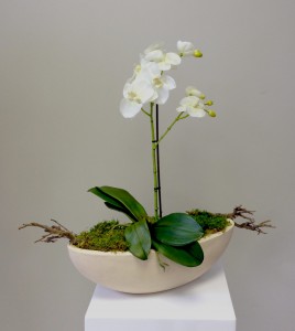 Artificial Silk Orchid (Single Stem), Preserved Moss & Branches, Ceramic Boat Planter